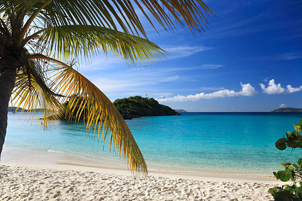 istock Trunk Bay, St. John, US Virgin Islands 172395725