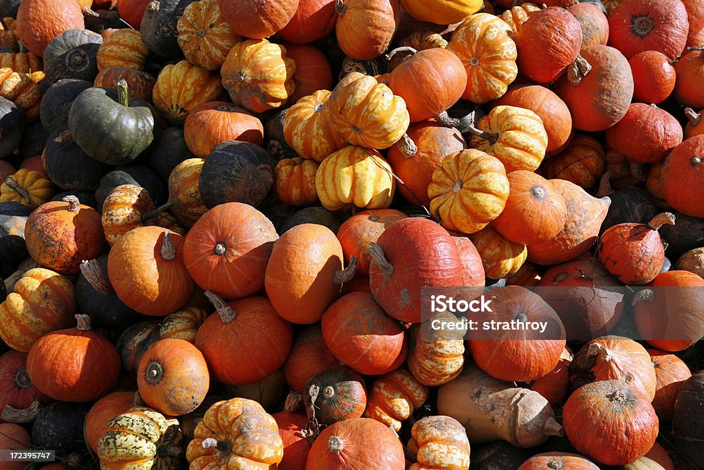 Colección de coloridos Gourds - Foto de stock de Abundancia libre de derechos