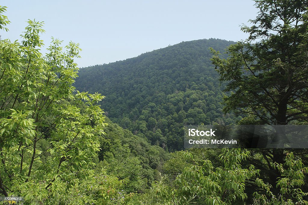 Vista dei Monti Catskill - Foto stock royalty-free di Albero