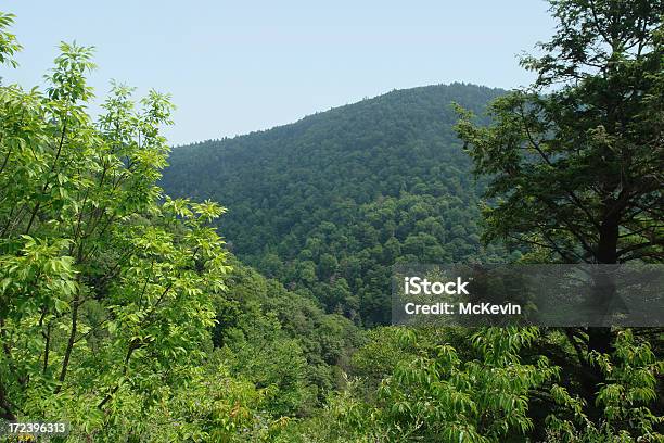 Vista Dei Monti Catskill - Fotografie stock e altre immagini di Albero - Albero, Ambientazione esterna, Ambiente