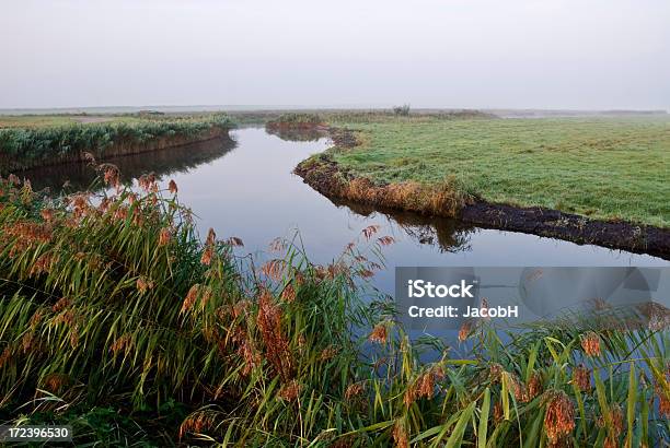 Photo libre de droit de Scène Typique Polder banque d'images et plus d'images libres de droit de Agriculture - Agriculture, Brouillard, Champ