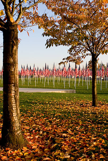 Dzień Weteranów Memorial – zdjęcie