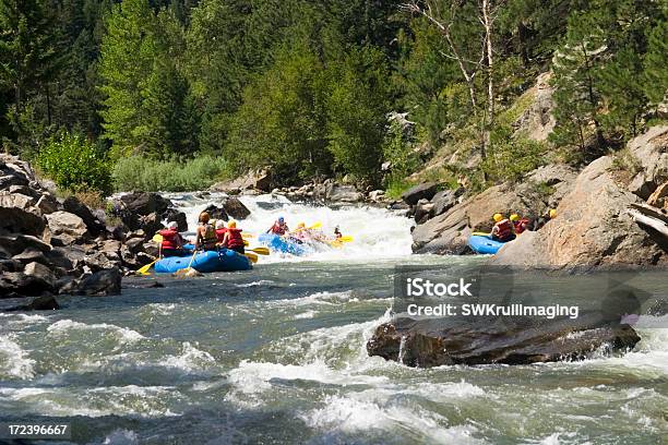 Foto de Rafting Em Clear Creek Canyon e mais fotos de stock de Rafting em Águas Selvagens - Rafting em Águas Selvagens, Colorado, Corredeira - Rio