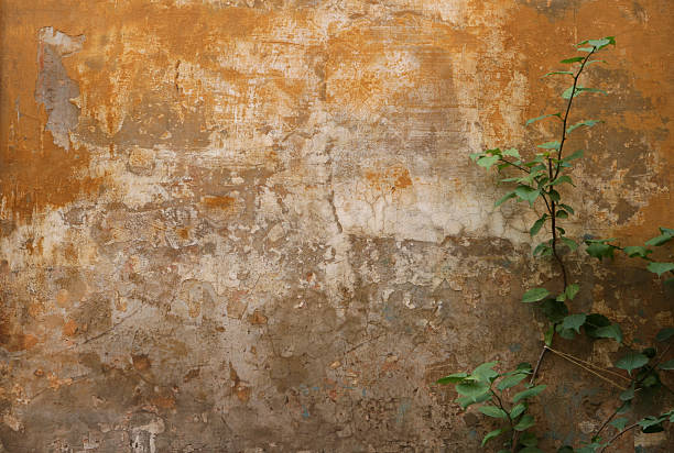 istock Run down Roman wall texture with plant 172396750