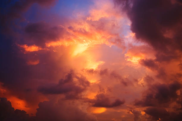istock Prior Tropical Storm at Sunset 172396954