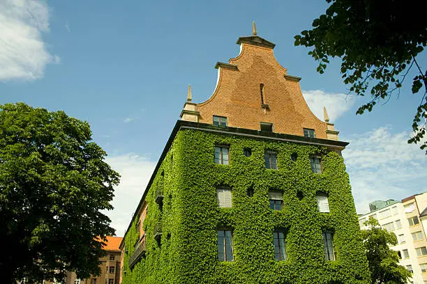 "A house in MalmA, Sweden with a green coat on."
