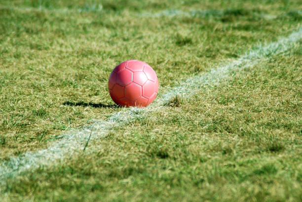 istock Pink Soccer Ball 172397311
