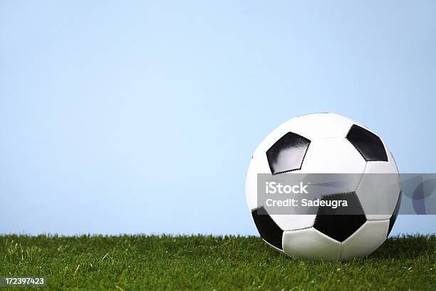 Soccer Ball On The Grass Foto de stock y más banco de imágenes de Aire libre - Aire libre, Artículos deportivos, Azul