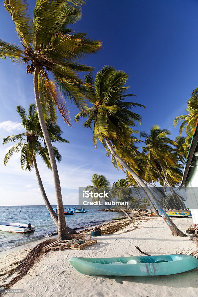 Insel mit Palmen - Lizenzfrei Baum Stock-Foto