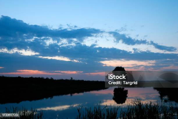 Early Morning Stock Photo - Download Image Now - Beauty, Beauty In Nature, Black Color