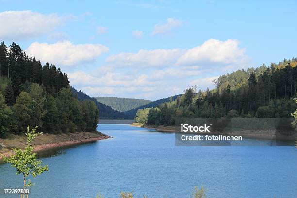 Nagoldtalsperre В Германии — стоковые фотографии и другие картинки Без людей - Без людей, Вода, Водохранилище