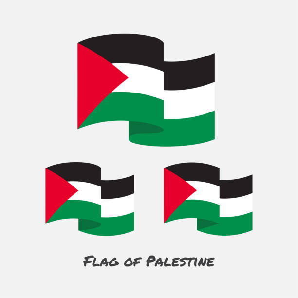 Flag of palestine set vector illustration. Flag of palestine set vector illustration on white background. palestinian flag stock illustrations