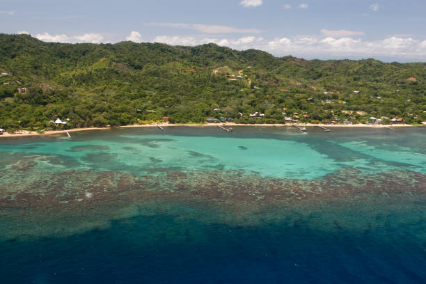 istock Aerial view of tropical island 172398767