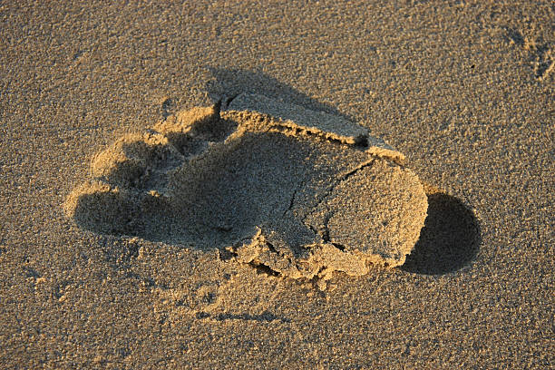 Sandy Beach Footprint at Sunset stock photo