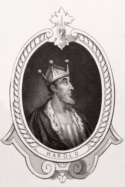 harald i. - crown king illustration and painting engraving stock-grafiken, -clipart, -cartoons und -symbole