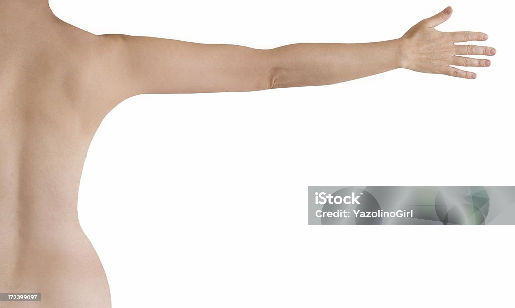 Anatomia umana - Foto stock royalty-free di Nudo