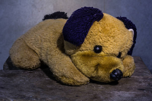 istock Still life Cute dog brown doll 1723992057