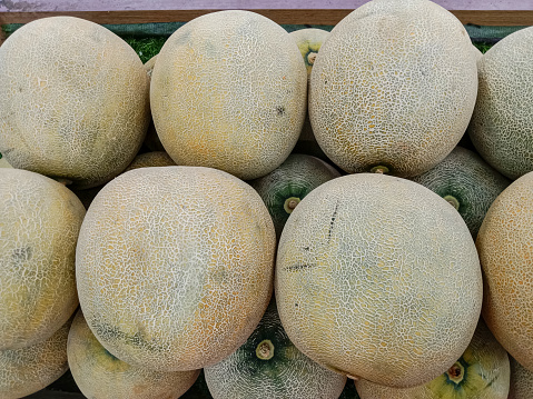 Melons. Melon at the market stall for sale. A pile of Honeydew melons at the market. Group of melon fruit.