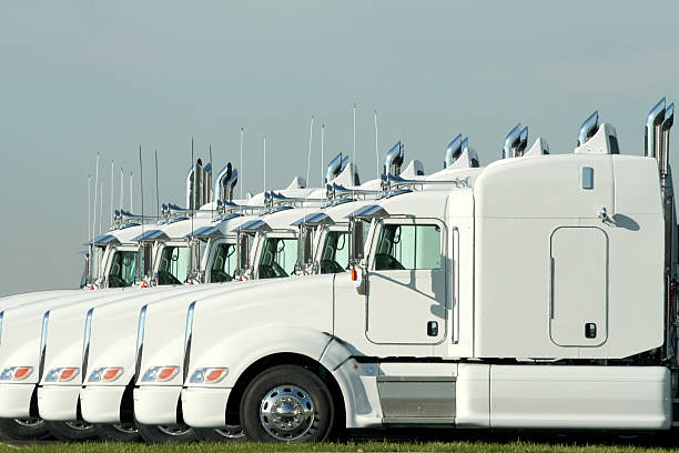 Six identical white semi trucks parked together