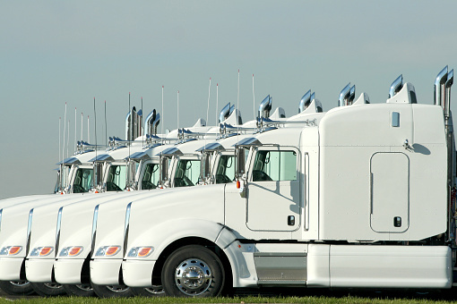 Semi trucks in a row with chrome exhaust pipes and air horns.