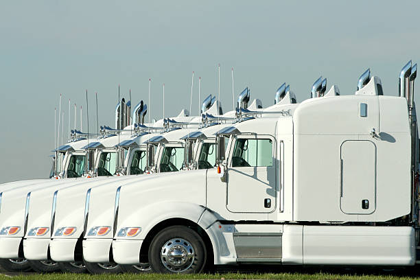 Six identical white semi trucks parked together stock photo