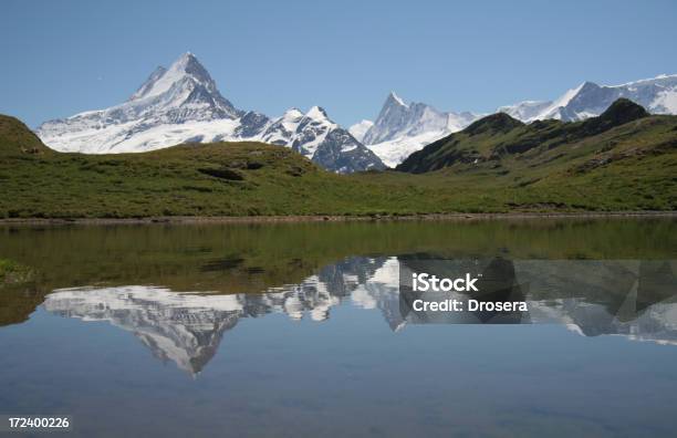 Photo libre de droit de Superbe Bachalpsee banque d'images et plus d'images libres de droit de Bleu - Bleu, Canton de Berne, Chaîne de montagnes