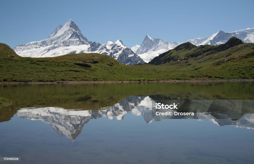 Deslumbrante bachalpsee - Royalty-free Acordar Foto de stock