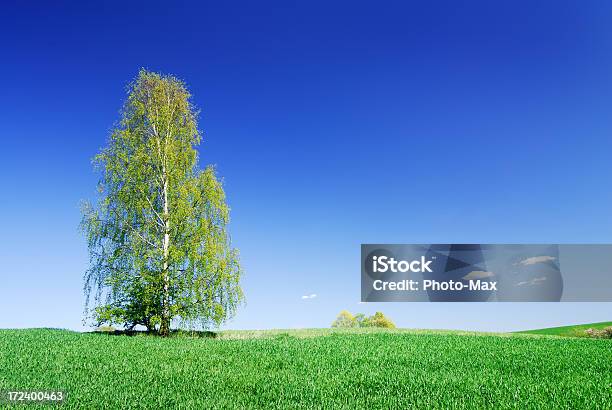 Landscape Stock Photo - Download Image Now - Agricultural Field, Backgrounds, Beauty