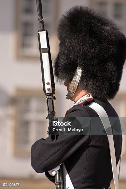 Royal Guard Stock Photo - Download Image Now - Adult, Animal Hair, Architecture