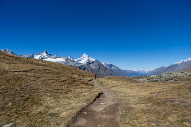 istock Hiking in the Swiss Alps 172400642