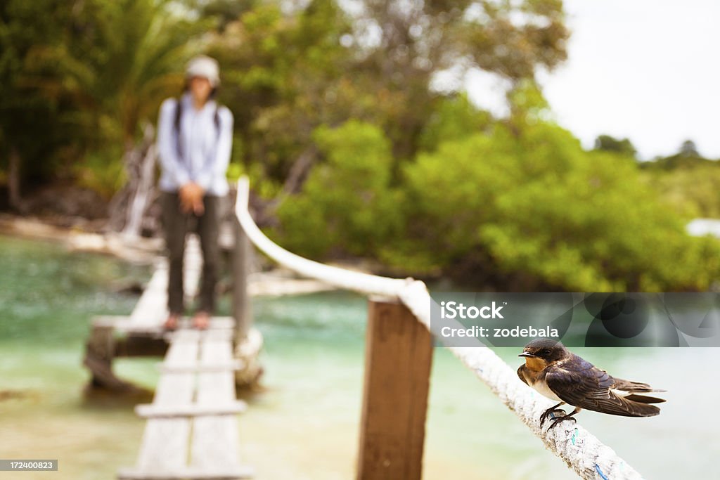 Petits oiseaux et Explorer dans la Jungle - Photo de Adulte libre de droits