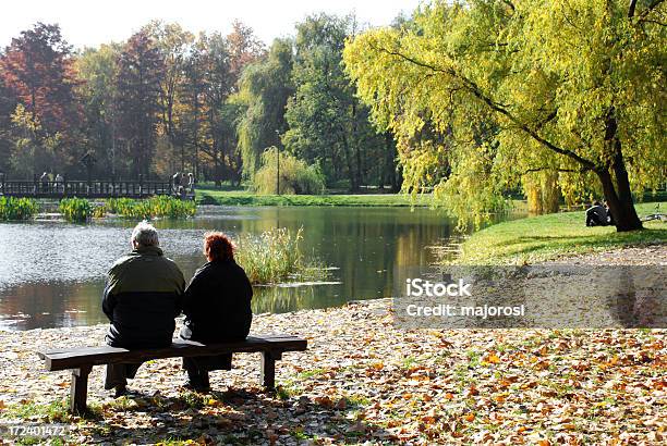 Descansar Ao Lakeside - Fotografias de stock e mais imagens de Terceira idade - Terceira idade, Carvalho, Mata