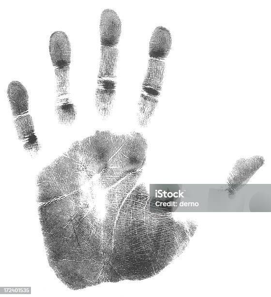 Левая Рука 51 Рекомендуется Мегапикселей — стоковые фотографии и другие картинки Анатомия - Анатомия, Белый, Вертикальный