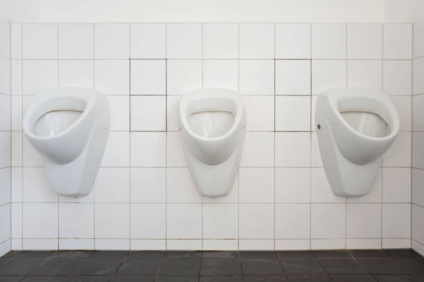 istock urinals in a public toilet 1724015482