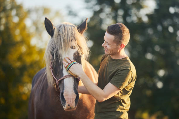 istock Man during grooming horse on summer day 1724016035