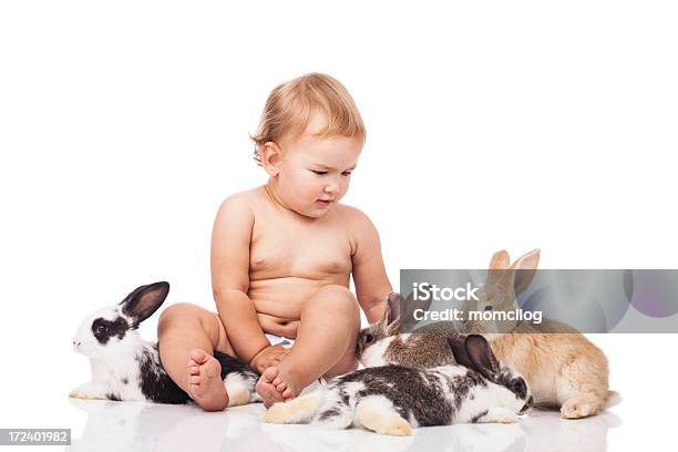 Foto de Adorável Bebê Com Coelhinhos e mais fotos de stock de 12-17 meses - 12-17 meses, 6-11 meses, Animal