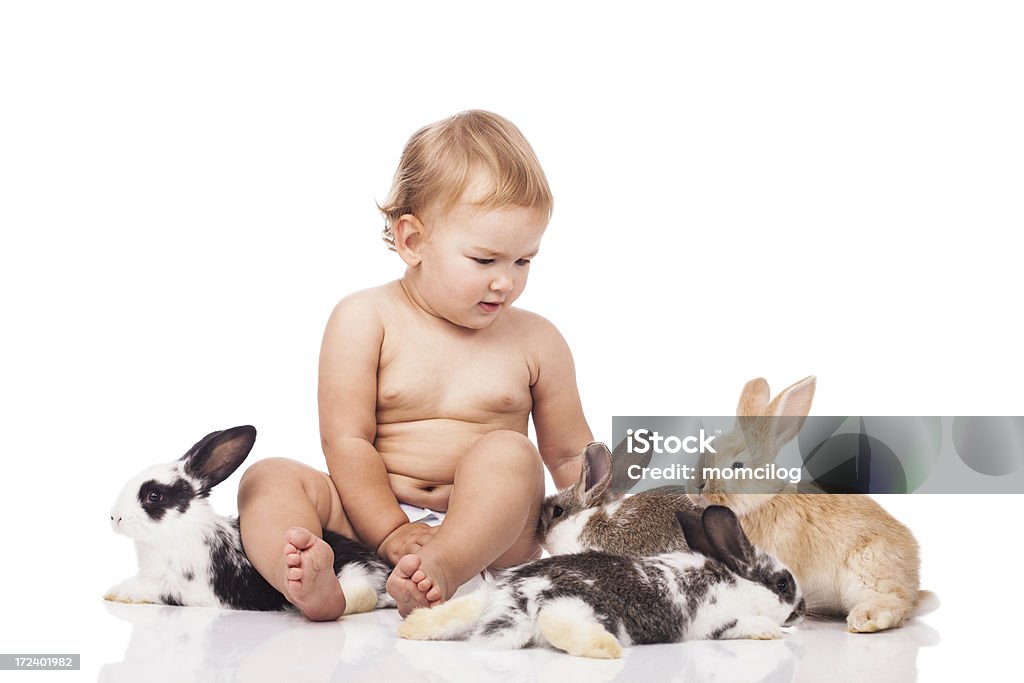 Чудесные детские девочка с кроликов - Стоковые фото 12-17 месяцев роялти-фри