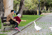 Grandmother and grandson feeding geese on the public park