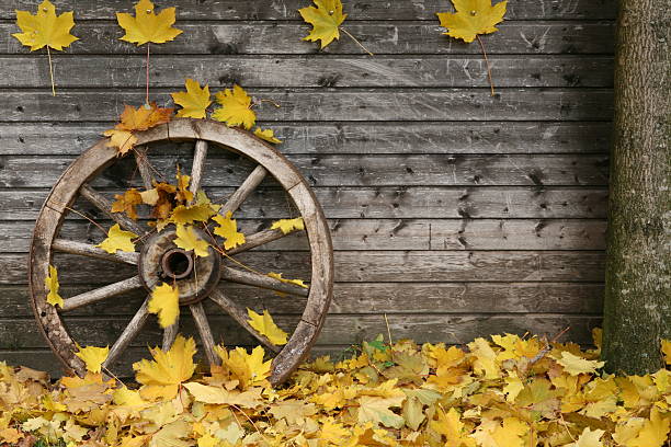 Old cart reconquered by nature