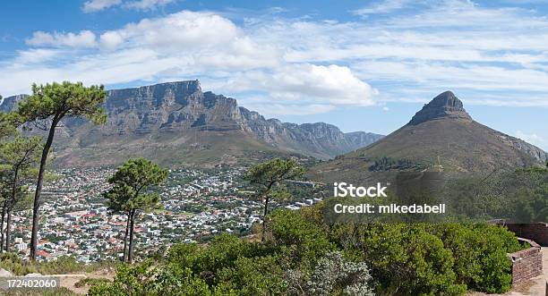 Львиная Голова — стоковые фотографии и другие картинки Cape Peninsula - Cape Peninsula, Signal Hill - Кейптаун, Table Mountain National Park