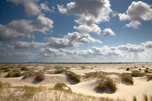 A view over the dunes on Texel, Netherlands, near Den Helder. The city can be seen on the horizon.