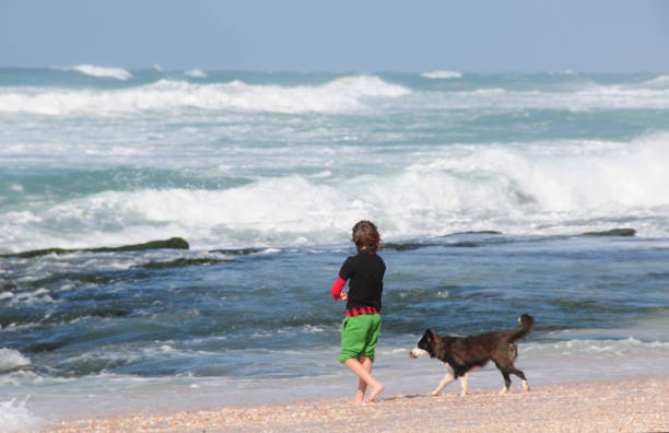 istock Boy at a Mediterranean Israel beach with dog 172402247