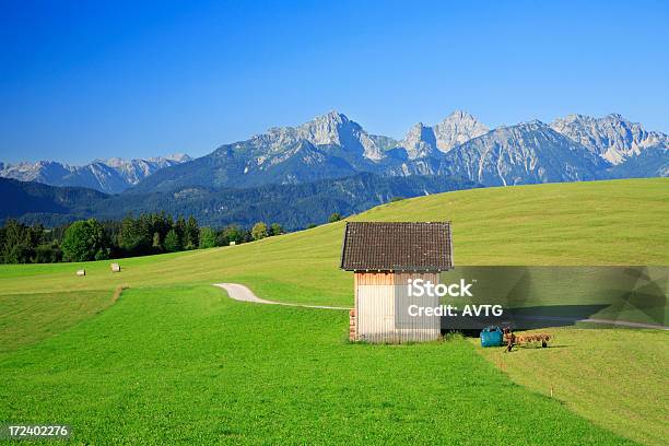 Paisagem Alpina Baviera - Fotografias de stock e mais imagens de Abrigo de Jardim - Abrigo de Jardim, Agricultura, Ajardinado