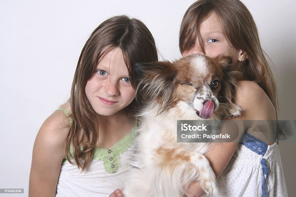 Yep, that's our Dog papillon with sisters. 10-11 Years Stock Photo