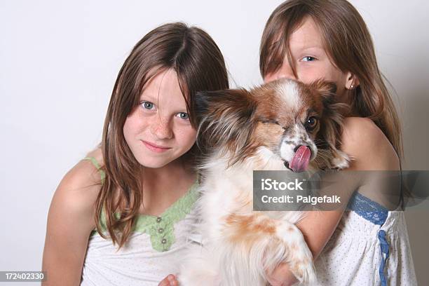 Yep Thats Our Dog Stock Photo - Download Image Now - 10-11 Years, 8-9 Years, Animal