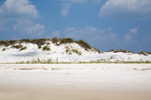sanddüne cape san blas - sand sea oat grass beach sand dune stock-fotos und bilder