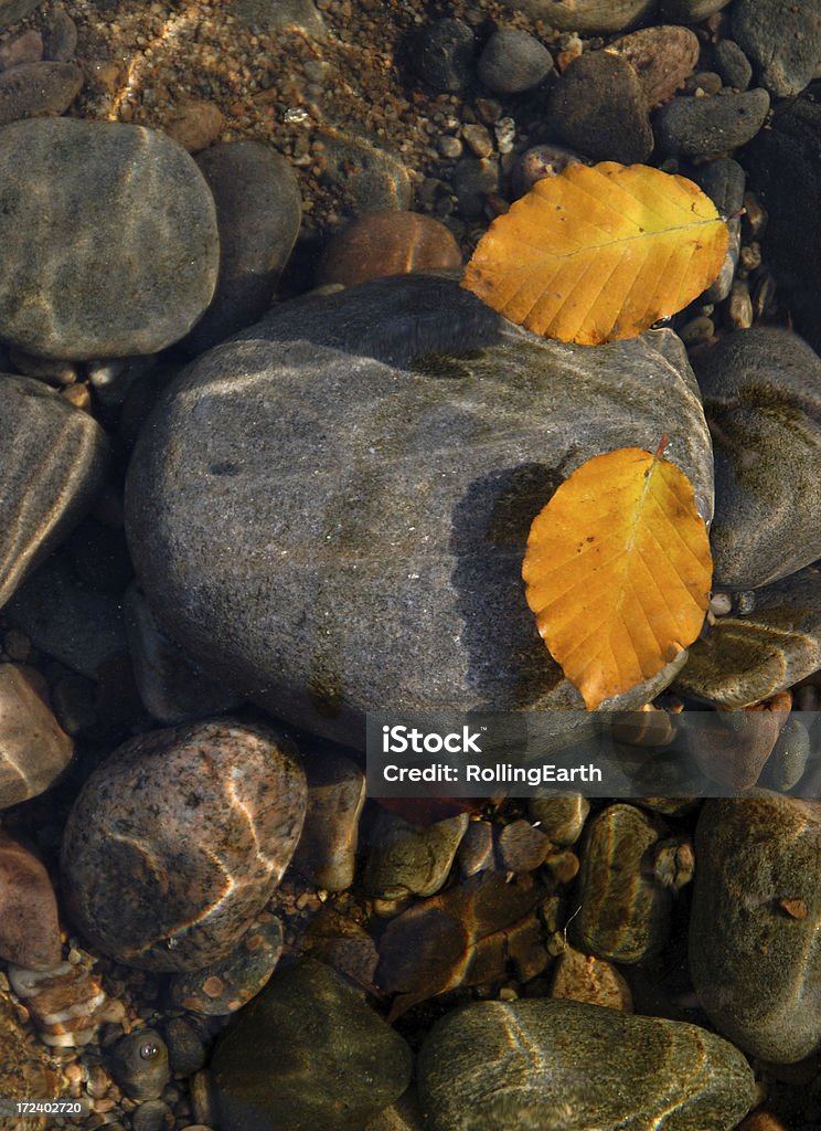 Leaves, Water and Stone Beautiful autumn leaves float over river stones. Abstract Stock Photo
