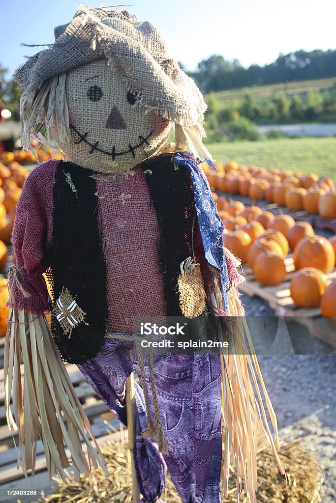 scarecrow Scarecrow watching over pumpkins. Agricultural Fair Stock Photo