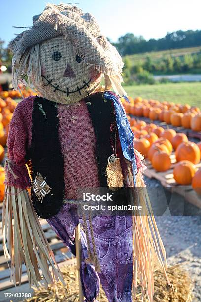 Scarecrow Stock Photo - Download Image Now - Agricultural Fair, Agriculture, Farm