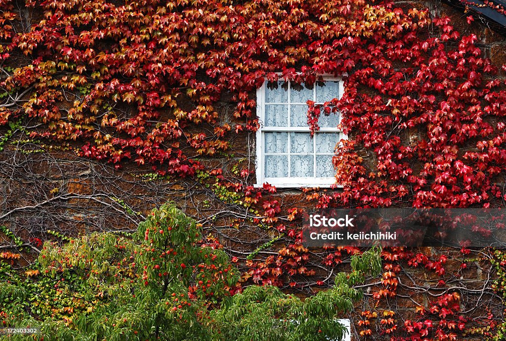Осенний окно - Стоковые фото Архитектурный элемент роялти-фри